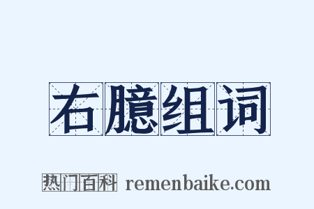 右臆组词是什么意思的图片